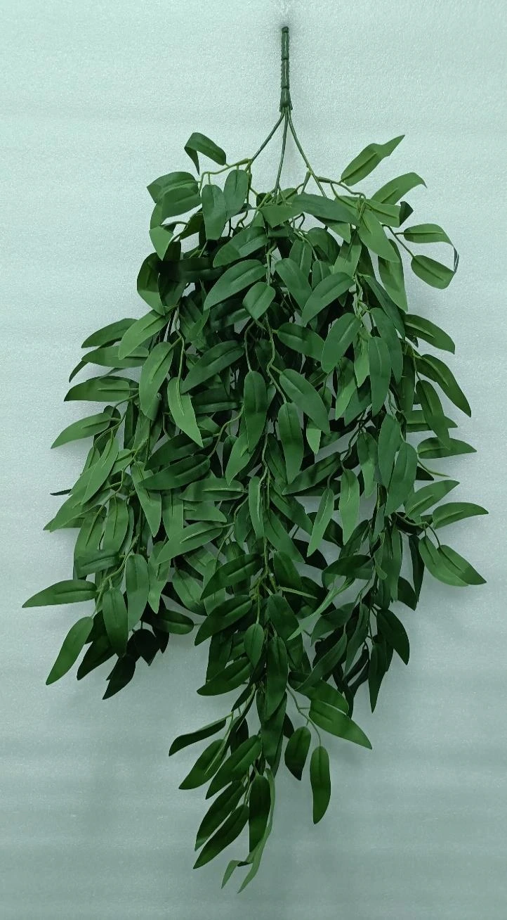 Kamini Leaves Creeper x 3